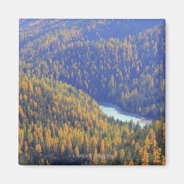 Imã Fuorn Pass (Frente)