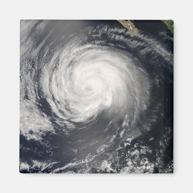 Imã Furacão Fausto (Frente)