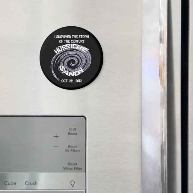 Imã Furacão Sandy (In Situ (Fridge))