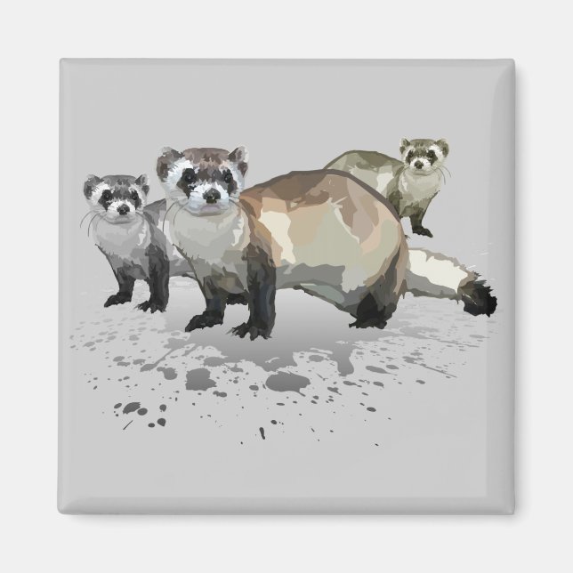 Imã Furões (Frente)