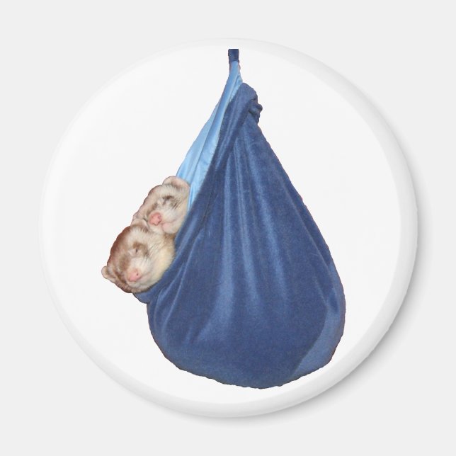 Imã Furões Em Um Saco Dormindo (Frente)