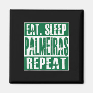 Imã Futebol Palmeiras - Camisa Palmeiras - Camiseta Pa