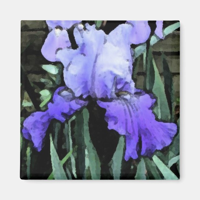 Imã FX - Íris Azul (Frente)