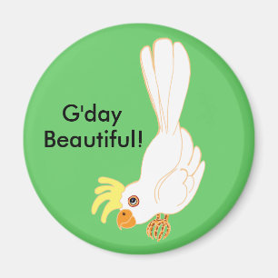 Imã G. Day Beauily Aussie Galah bird