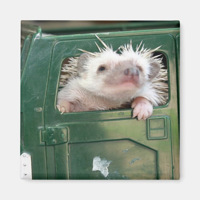 Imã G.I. Hedgehog (Frente)