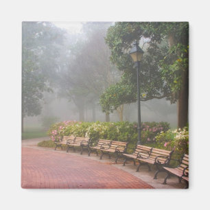 Imã GA Savannah, Azaleas ao longo da calçada e