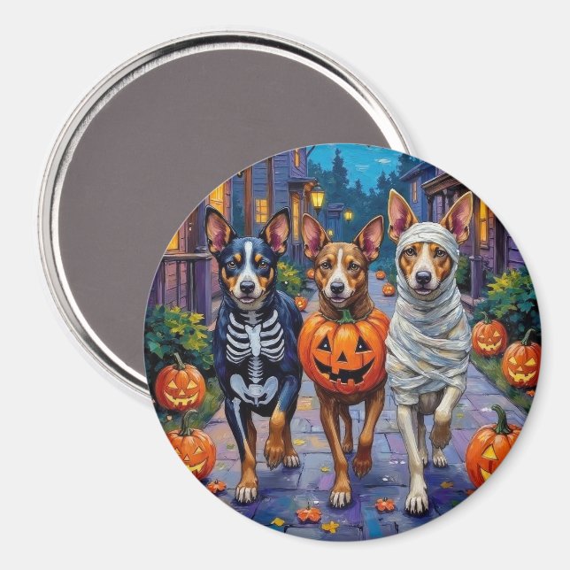 Imã Gado Australiano Fazendo Trick-or-Treat no Hallowe (Front/Back)