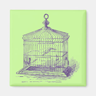 Imã Gaiola De Aves Vintage
