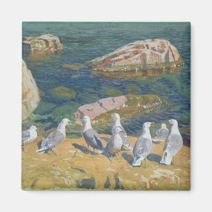 Imã Gaivota, 1910