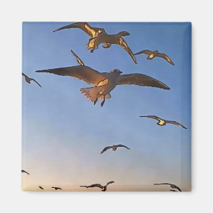 Imã Gaivotas Na Arte De Contorno Preta De Voo