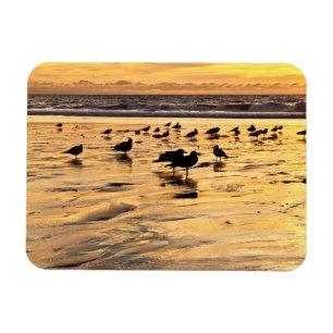 Ímã Gaivotas na Praia ao Pôr do Sol
