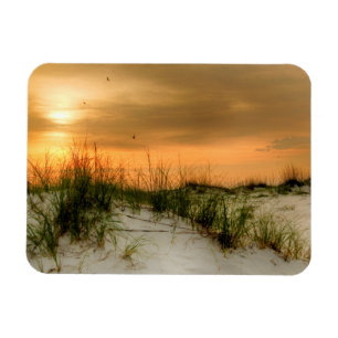 Ímã Gaivotas no nascer do sol