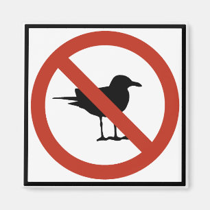 Imã Gaivotas proibidas