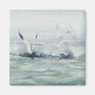 Imã GAIVOTAS & SURF por SHARON SHARPE