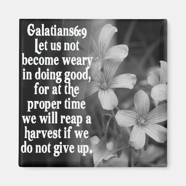 Imã GALÁCIOS DE SCRIPTURE DE bíblia 6:9 (Frente)