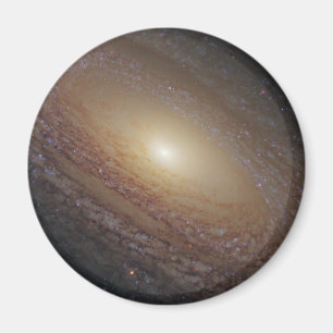 Imã Galáxia Espiral Ngc 2841