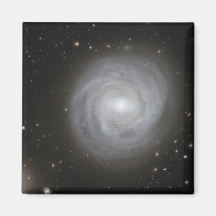 Imã Galáxia Espiral NGC 4921