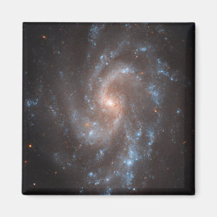 Imã Galáxia Espiral Ngc 5584