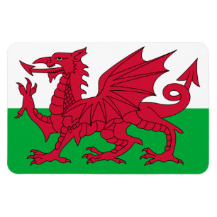 Ímã Gales Flag