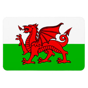 Ímã Galês Red Dragon Wales Flag