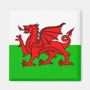 Imã Galês Red Dragon Wales Flag