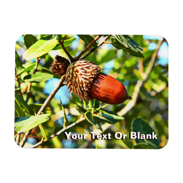 Ímã Galilee Acorn (Horizontal)