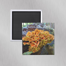 Imã Galinha do Cogumelo Woods Foto