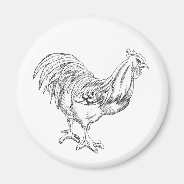 Imã Galinha em Caneta e Tinta (Frente)