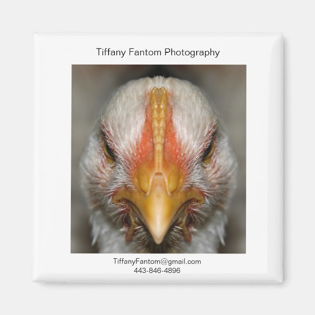 Imã Galinha Promo Piece (Frente)