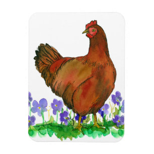 Ímã Galinha Rhode Island Red Watercolor Bird