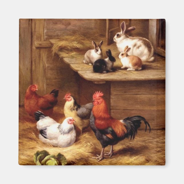 Imã Galinhas com galo de coelhos animais de criação co (Frente)