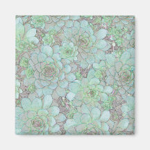 Galinhas E Pintinhos