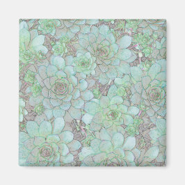 Imã Galinhas E Pintinhos