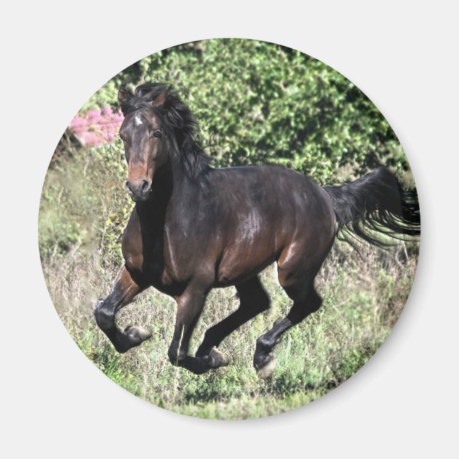 Imã Galloping Chestnut Horse (Frente)