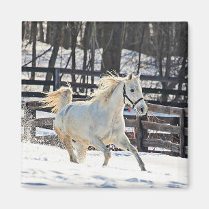 Imã Galloping White Horse
