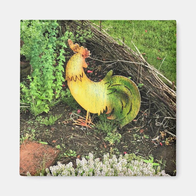 Imã Galo Amarelo e Verde (Frente)