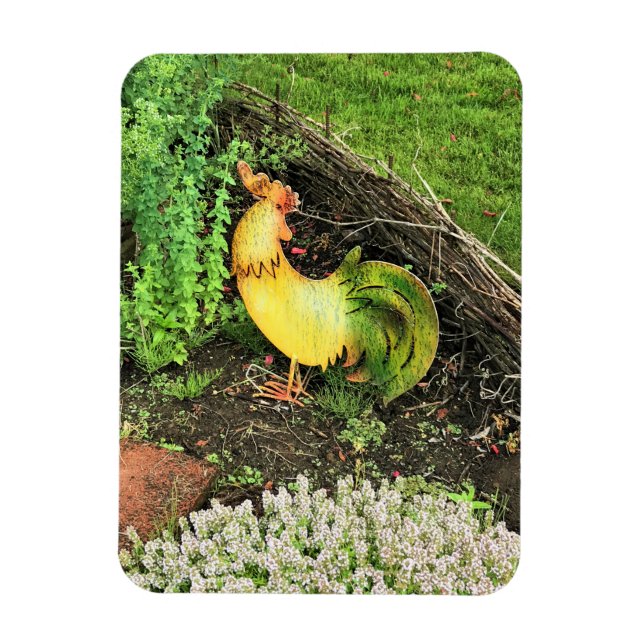 Ímã Galo Amarelo e Verde (Vertical)