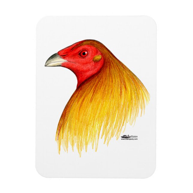Ímã Galo de Briga Debicado (Vertical)