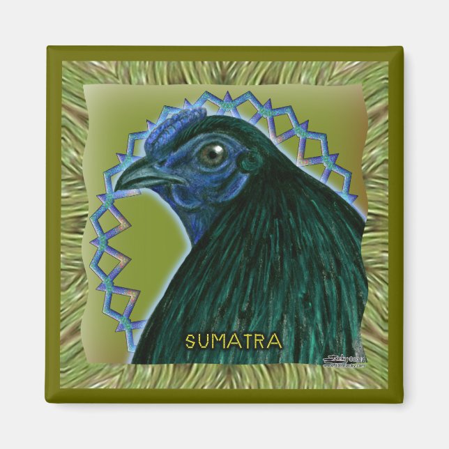 Imã Galo de Sumatra emoldurado (Frente)