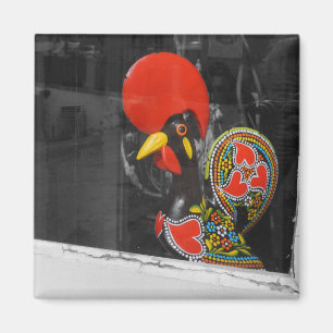 Imã Galo famoso da foto de Barcelos - Portugal