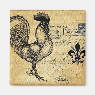 Imã Galo francês do vintage na serapilheira