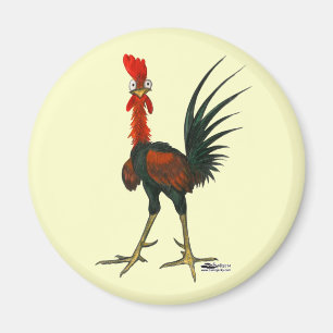 Imã Galo Louco
