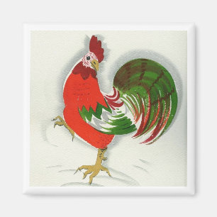 Imã Galo popular #1