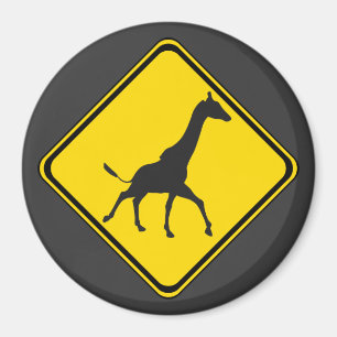 Imã Galopando Girafas Xing!