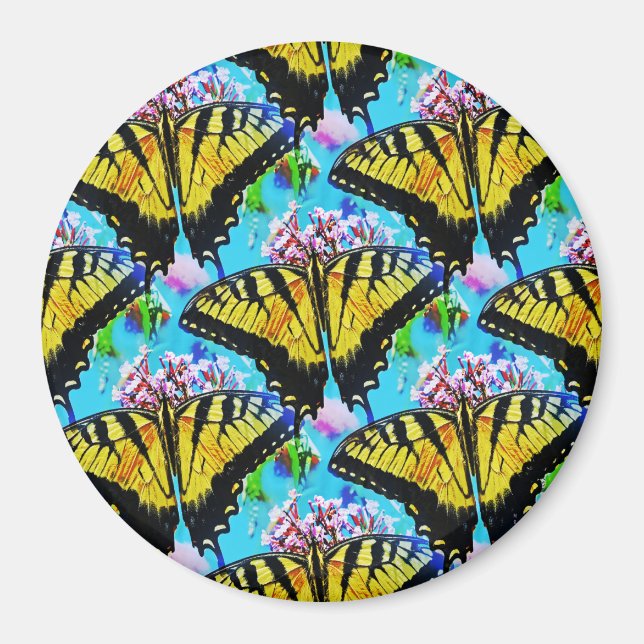 Imã Galore dos Engolidos.... (Frente)