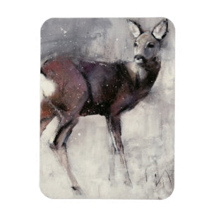 Ímã Gama 2000 das ovas