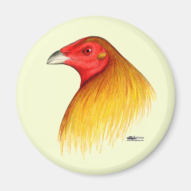 Imã Gamecock Apelidado (Frente)