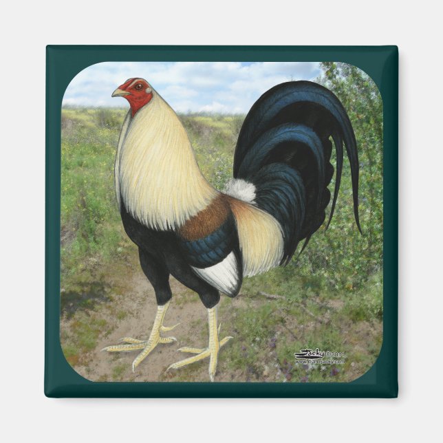 Imã Gamecock da estrada country (Frente)