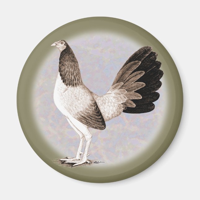 Imã Gamecock: Hennie (Frente)