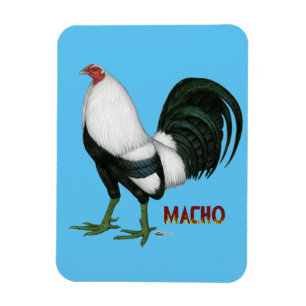 Ímã Gamecock Macho Duckwing